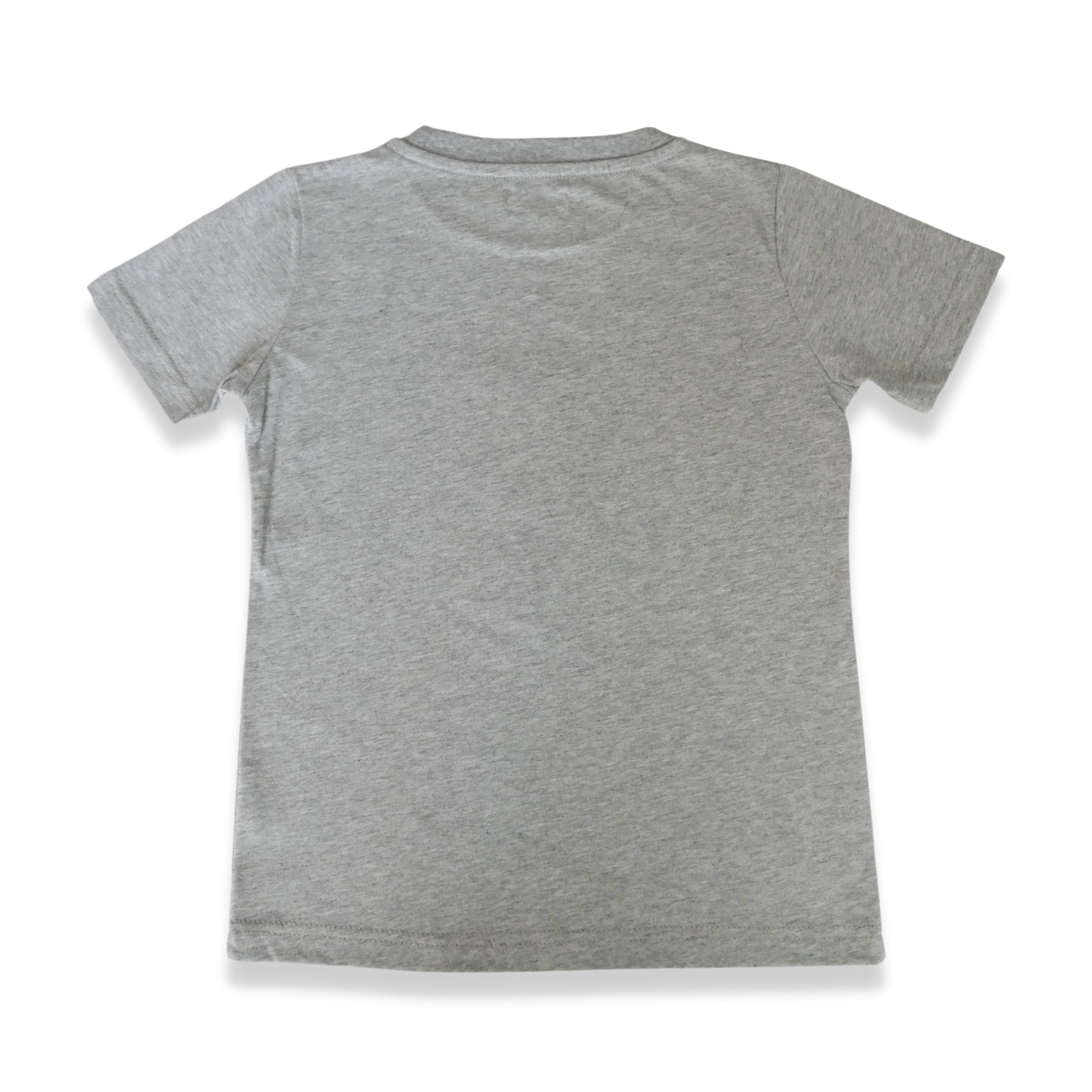 Children's T-shirt grey - Lion with ice lolly