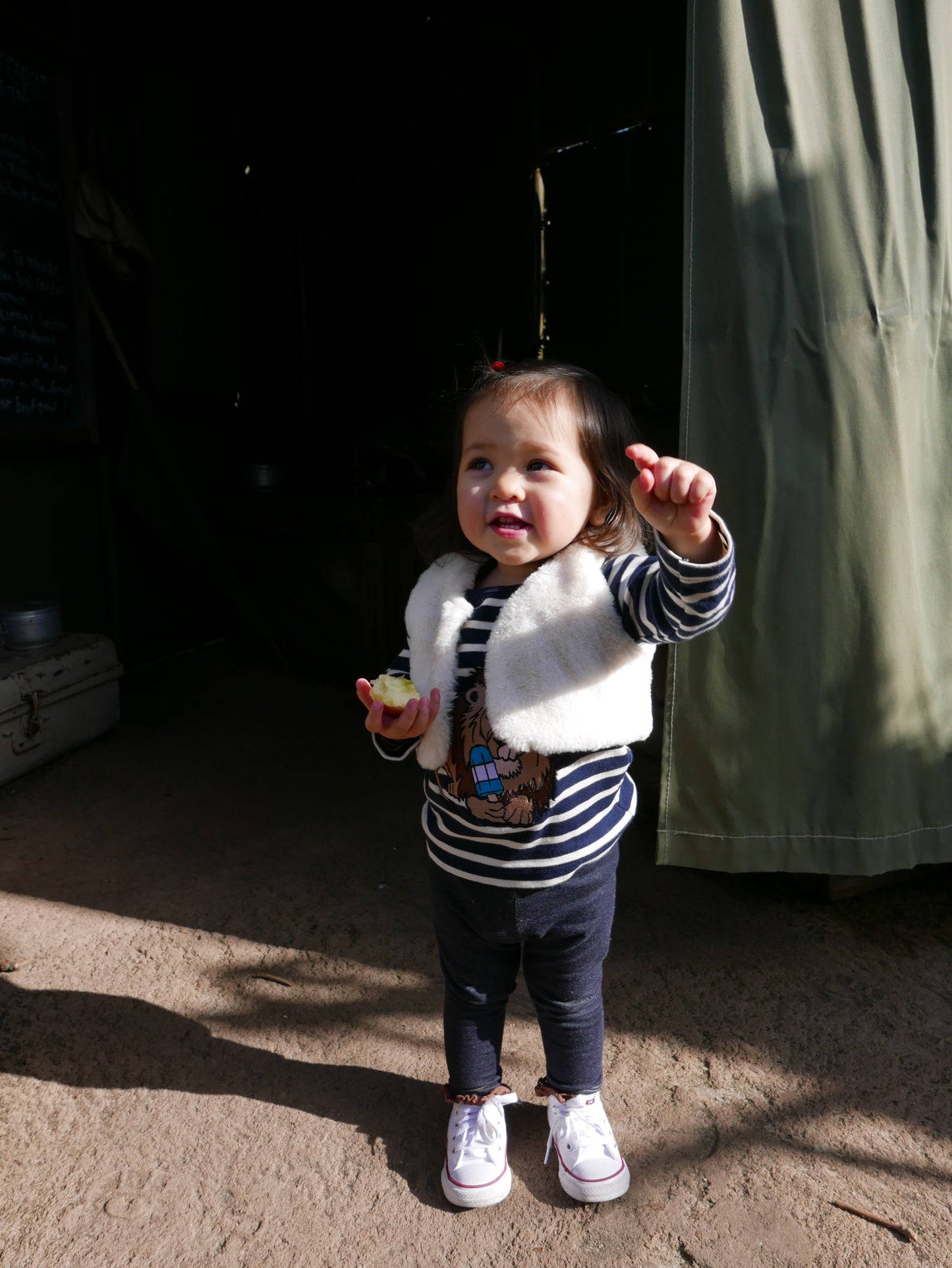 Babies long sleeve top - Lion with ice lolly