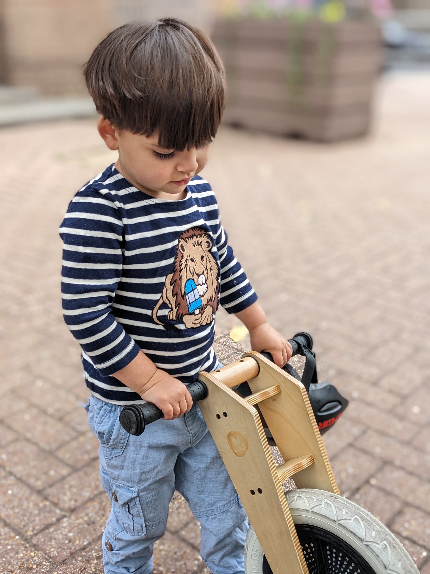 Children's long sleeve top - Lion with ice lolly