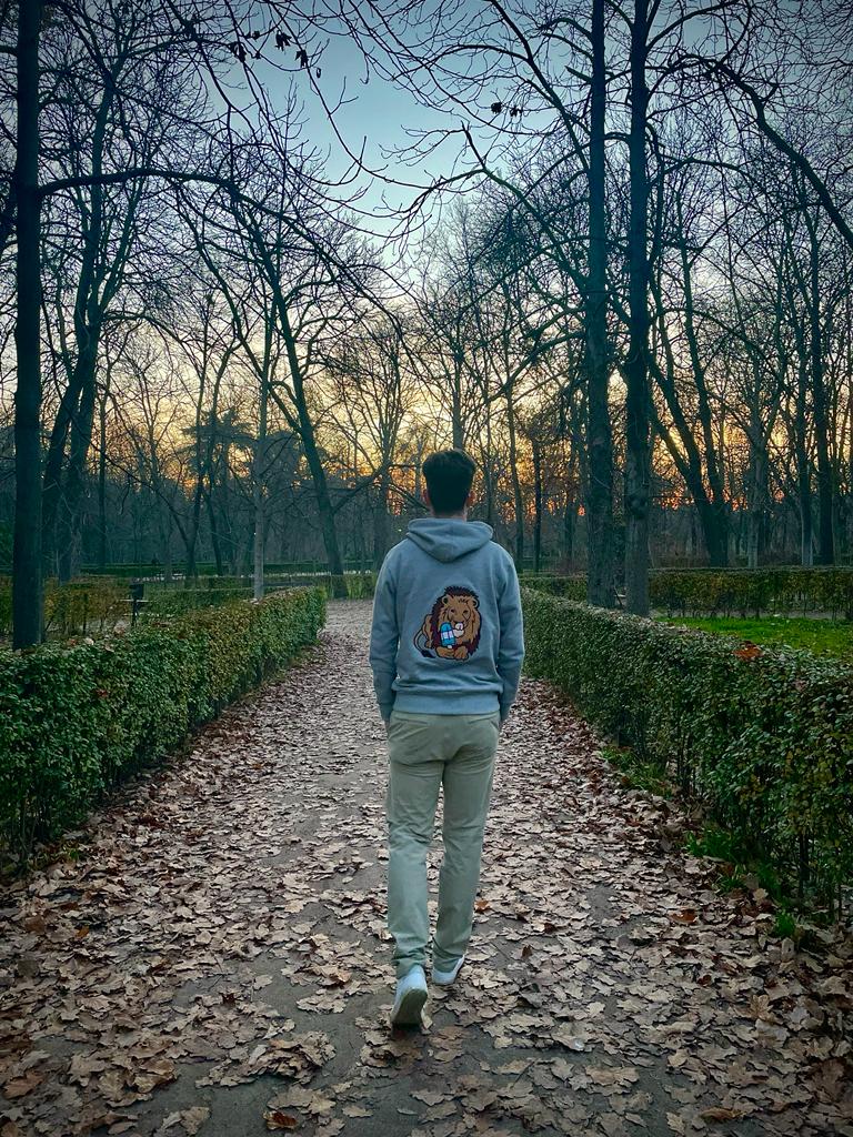 Hoodie Grey - Lion with ice lolly