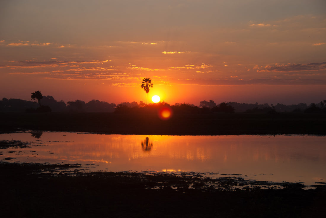 Safari sunset